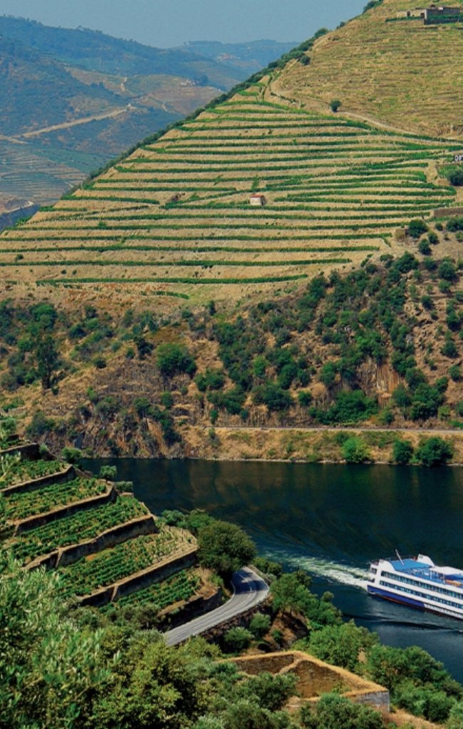 Terraced vineyards above a river cruise ship in the Douro Valley