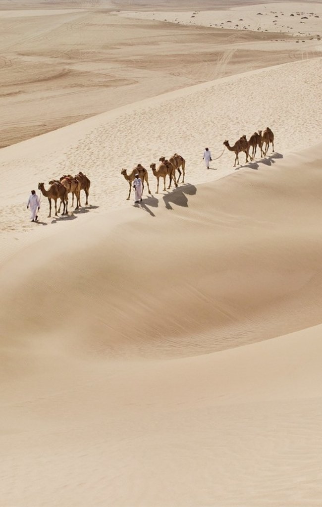 A camel caravan crossing pale dunes in southern Qatar