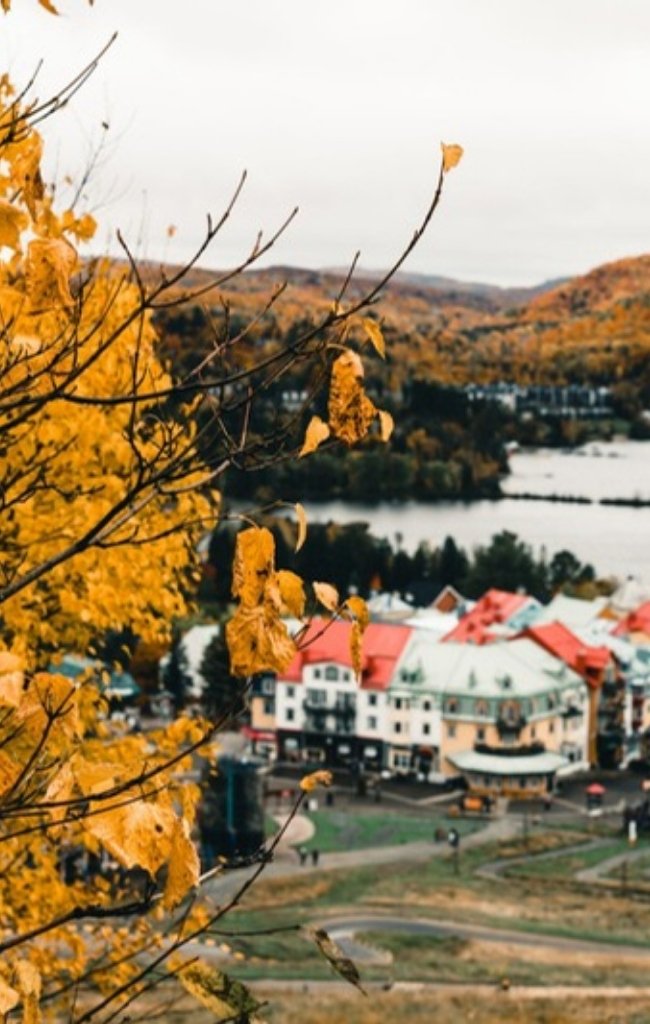 Golden autumn leaves above a lakeside village in the Laurentians