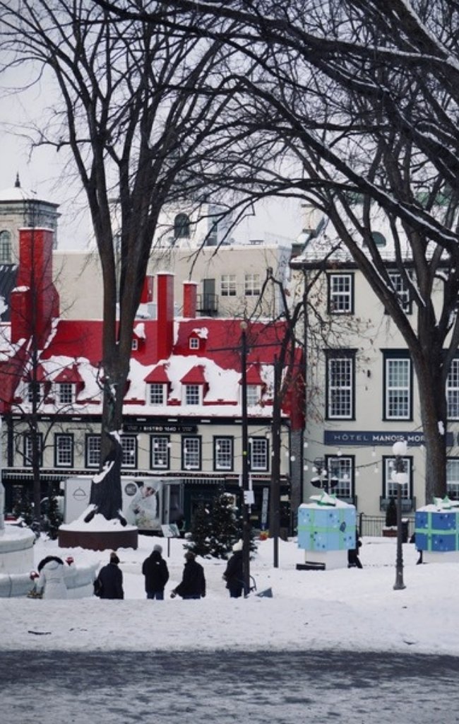 Snow-covered trees and historic buildings in Old Quebec