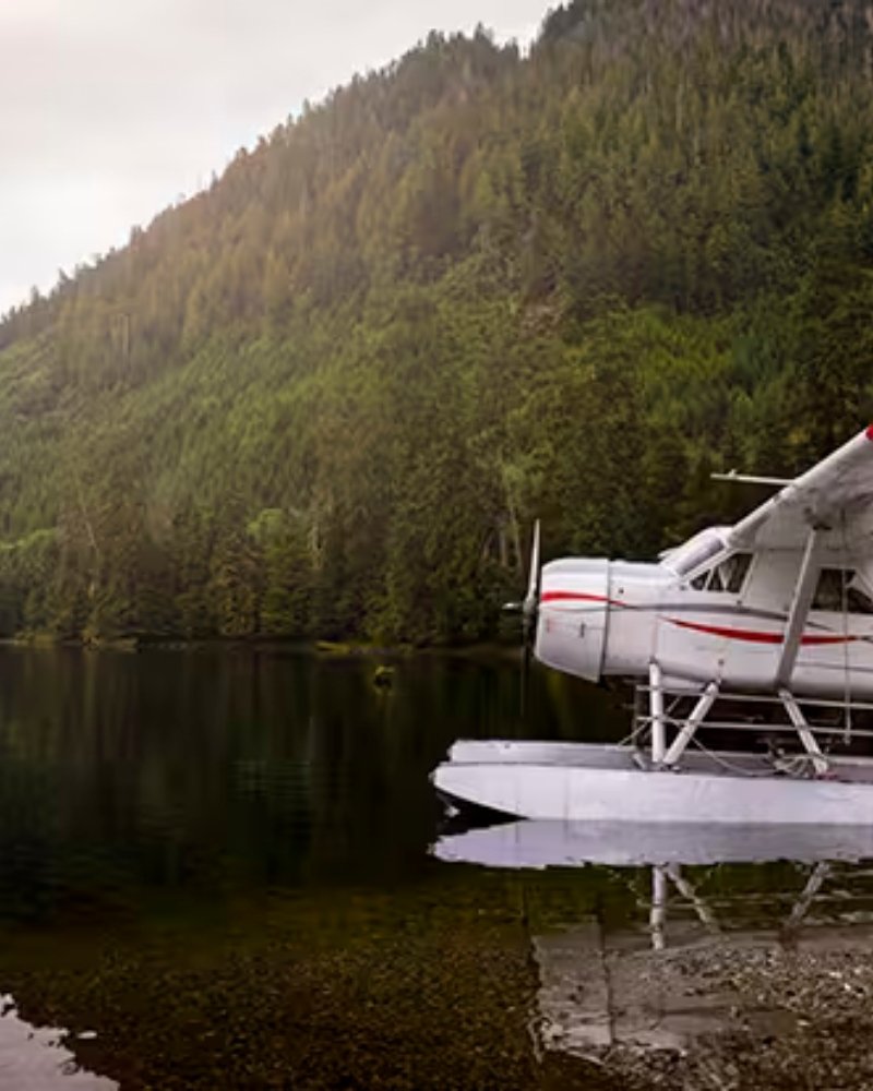 A floatplane on a forested lake in Alaska