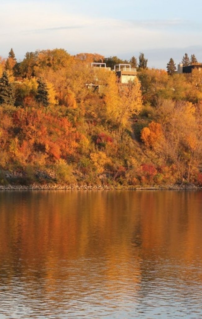 Autumn trees reflected in the Saskatchewan River