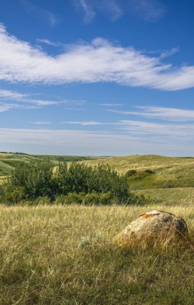 Rolling grassland hills under a bright sky