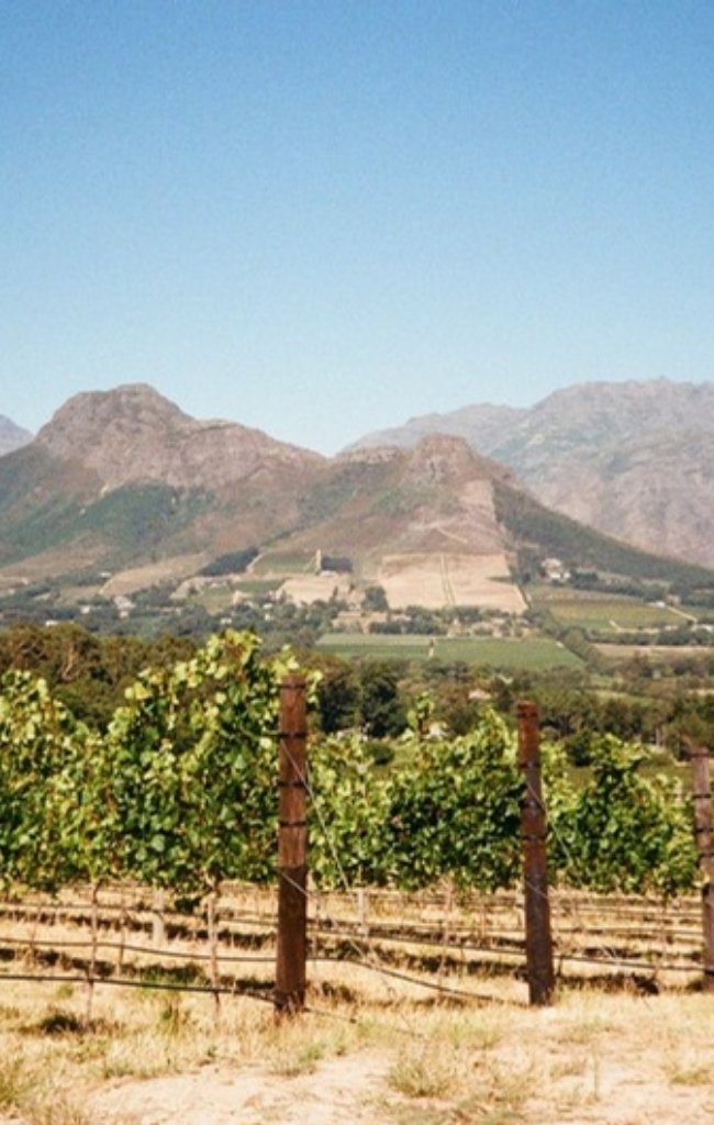 Vineyards below mountain peaks in Franschhoek
