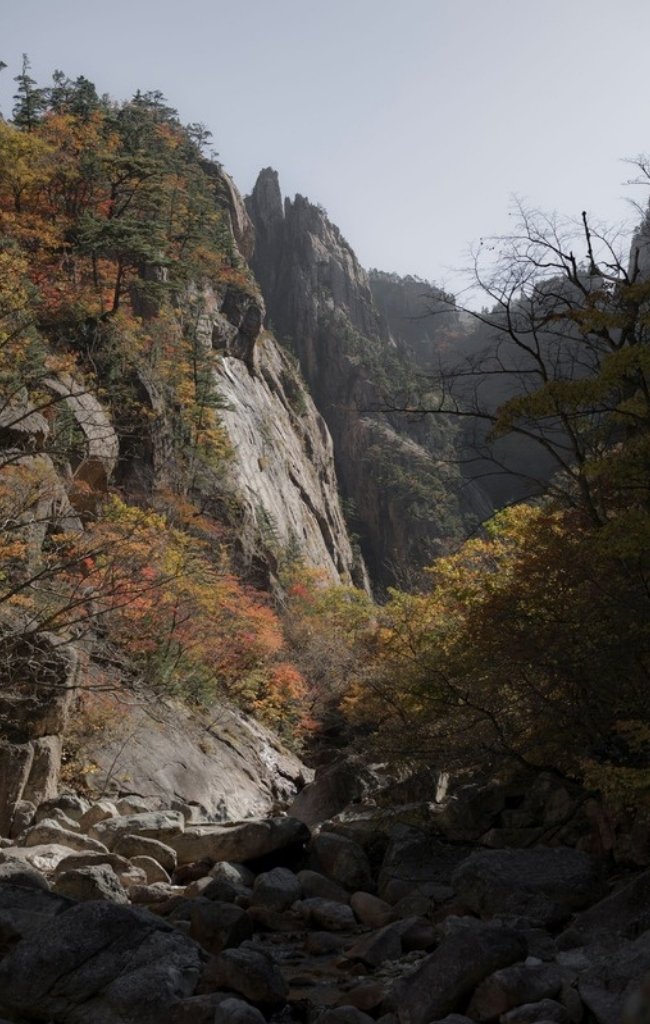 Autumn color on the rocky slopes of Seoraksan National Park