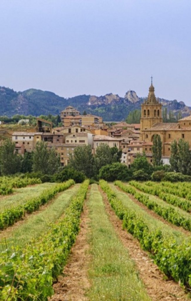 Vineyards below a hill town in La Rioja