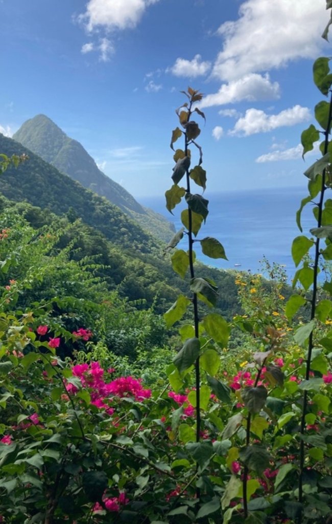 The Pitons framed by tropical flowers above the sea