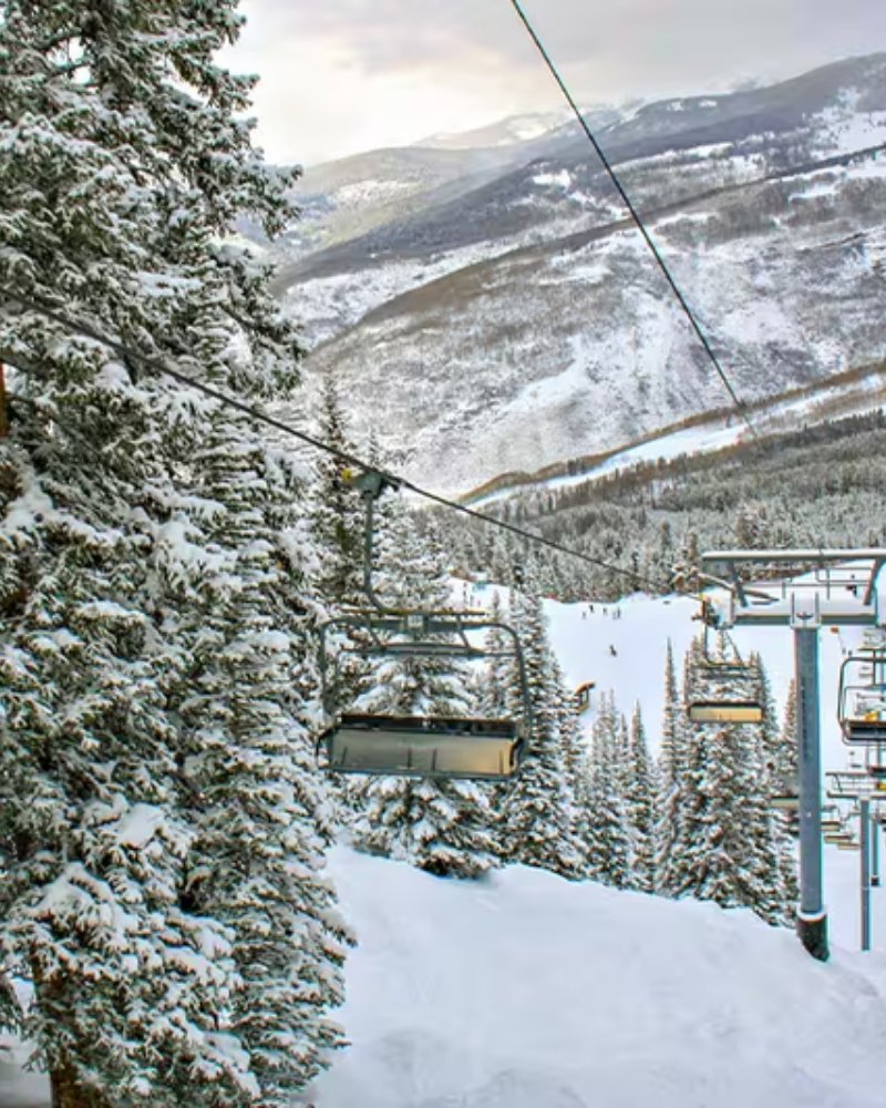 Snow-covered chairlift and evergreens at a North American ski resort