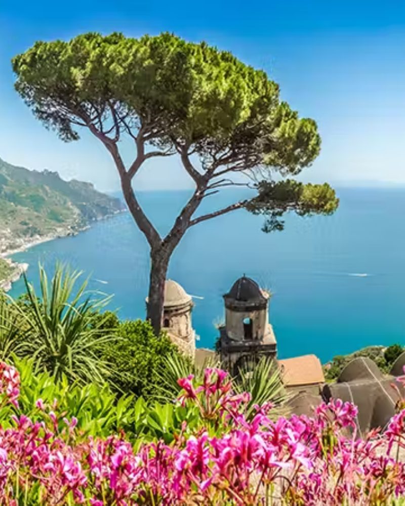 A pine tree above the sea at Ravello on the Amalfi Coast