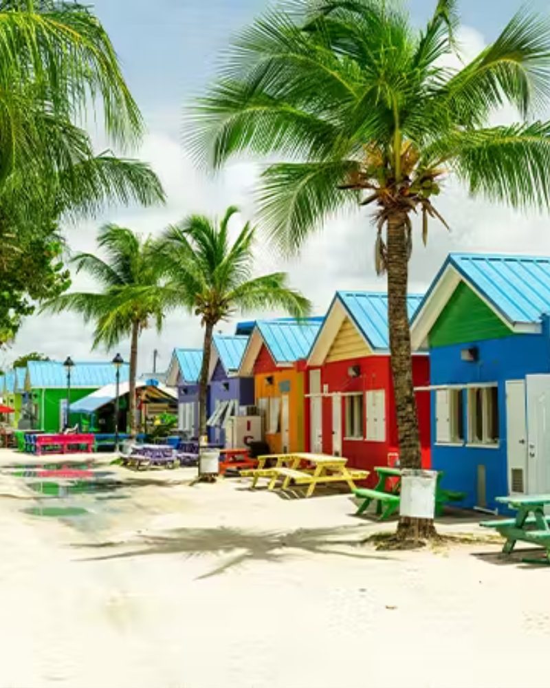 Colorful beach huts under palm trees in the Caribbean