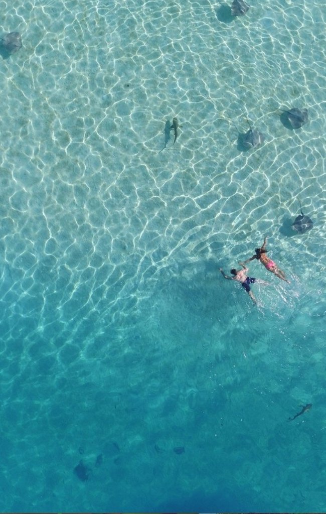 Swimmers floating in clear turquoise water seen from above
