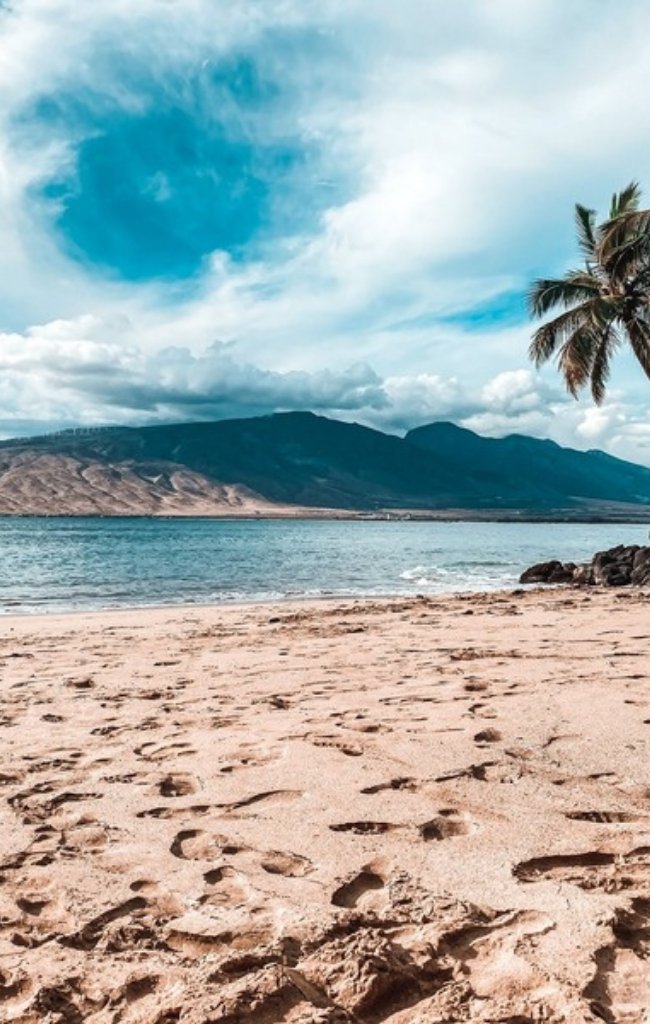 Palm trees on a tropical beach with mountains beyond