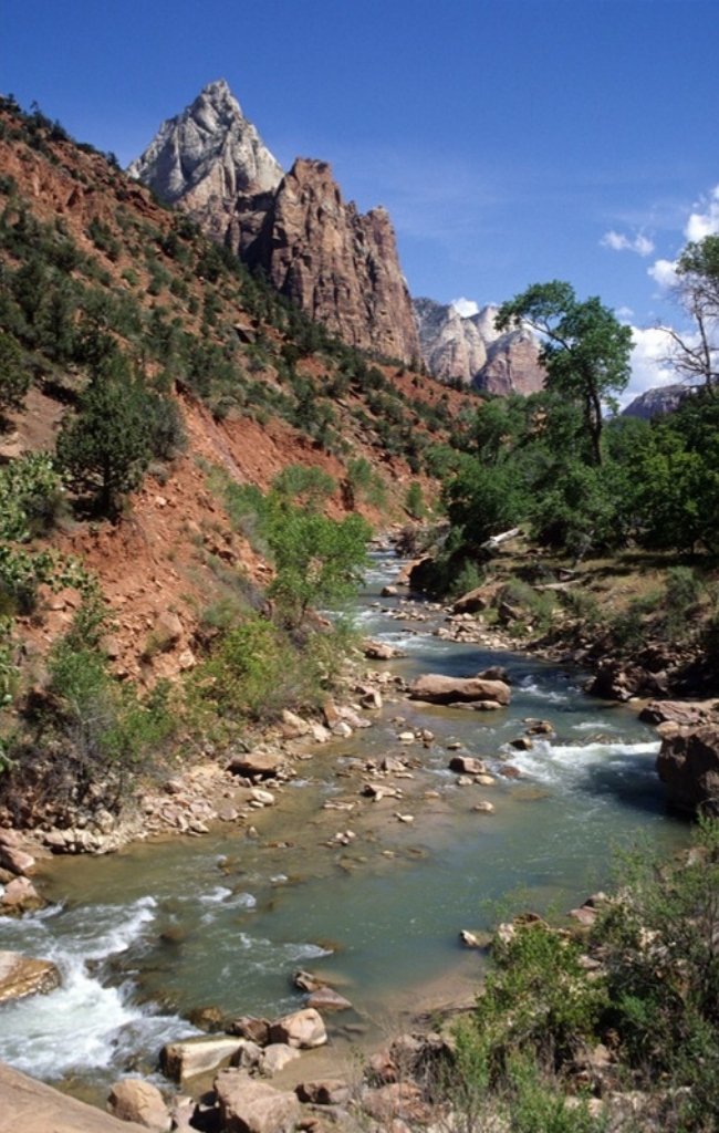 A river winding through a canyon in Zion National Park