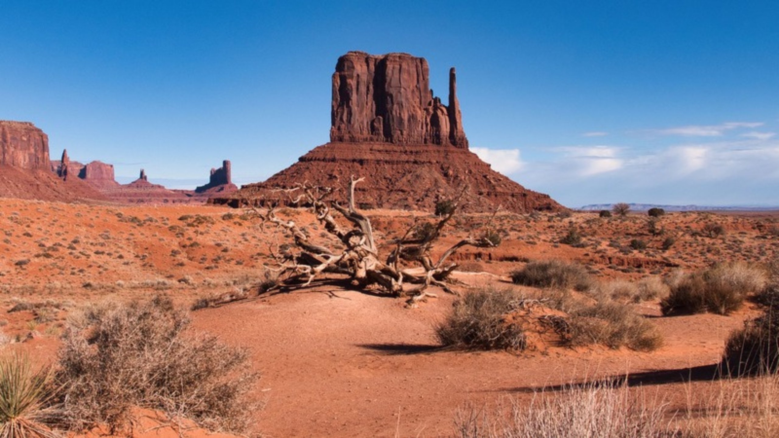 The red buttes of Monument Valley under a wide sky