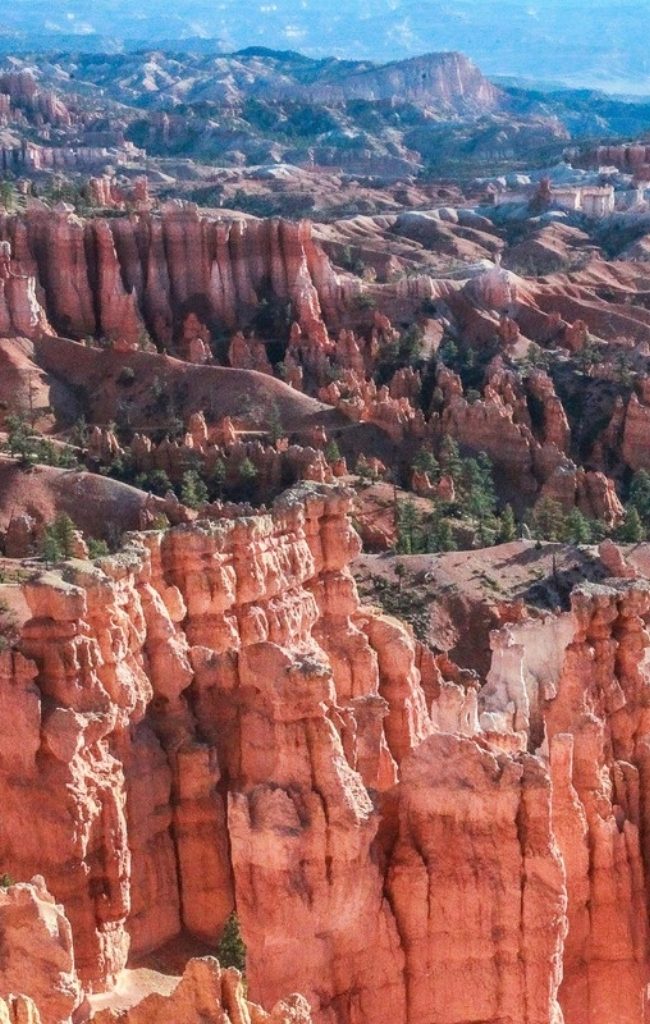 The hoodoos of Bryce Canyon seen from above