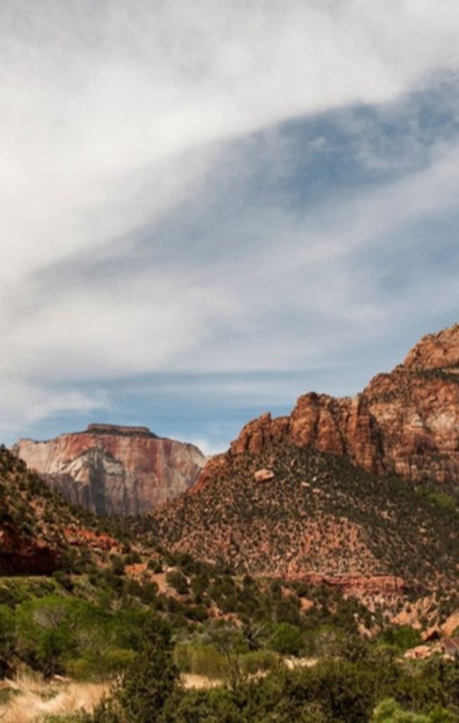 The red cliffs of Zion National Park