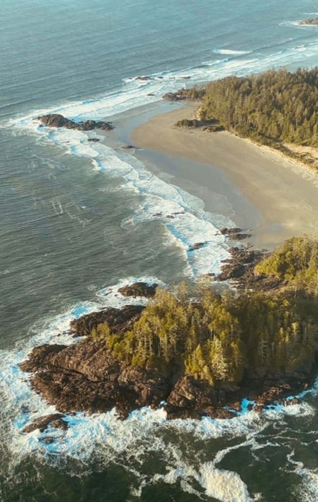 Forested headlands and surf along the coast near Tofino