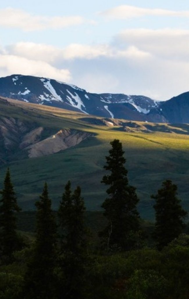 Mountains and spruce forest at Burwash Landing