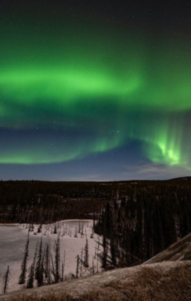 The northern lights glowing green over Whitehorse