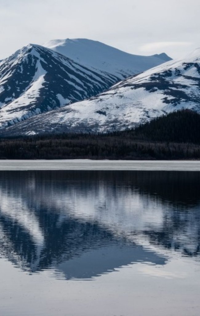 Snow-capped mountains reflected in a still Yukon lake
